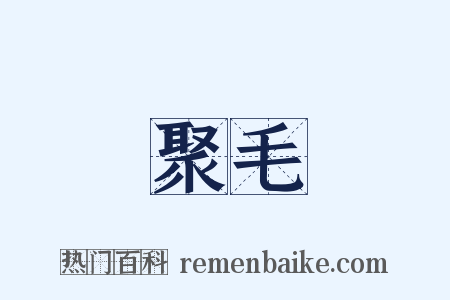 聚毛是什么意思的图片